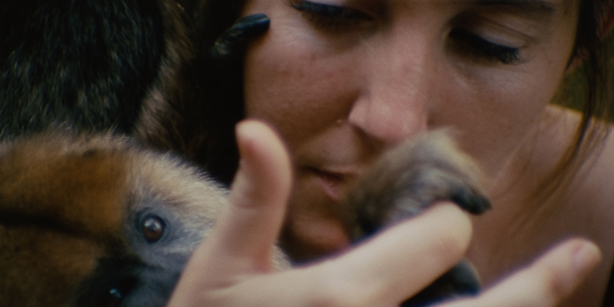 Collective Monologue: The Compassionate and Observant Capsule of Argentine Zoos