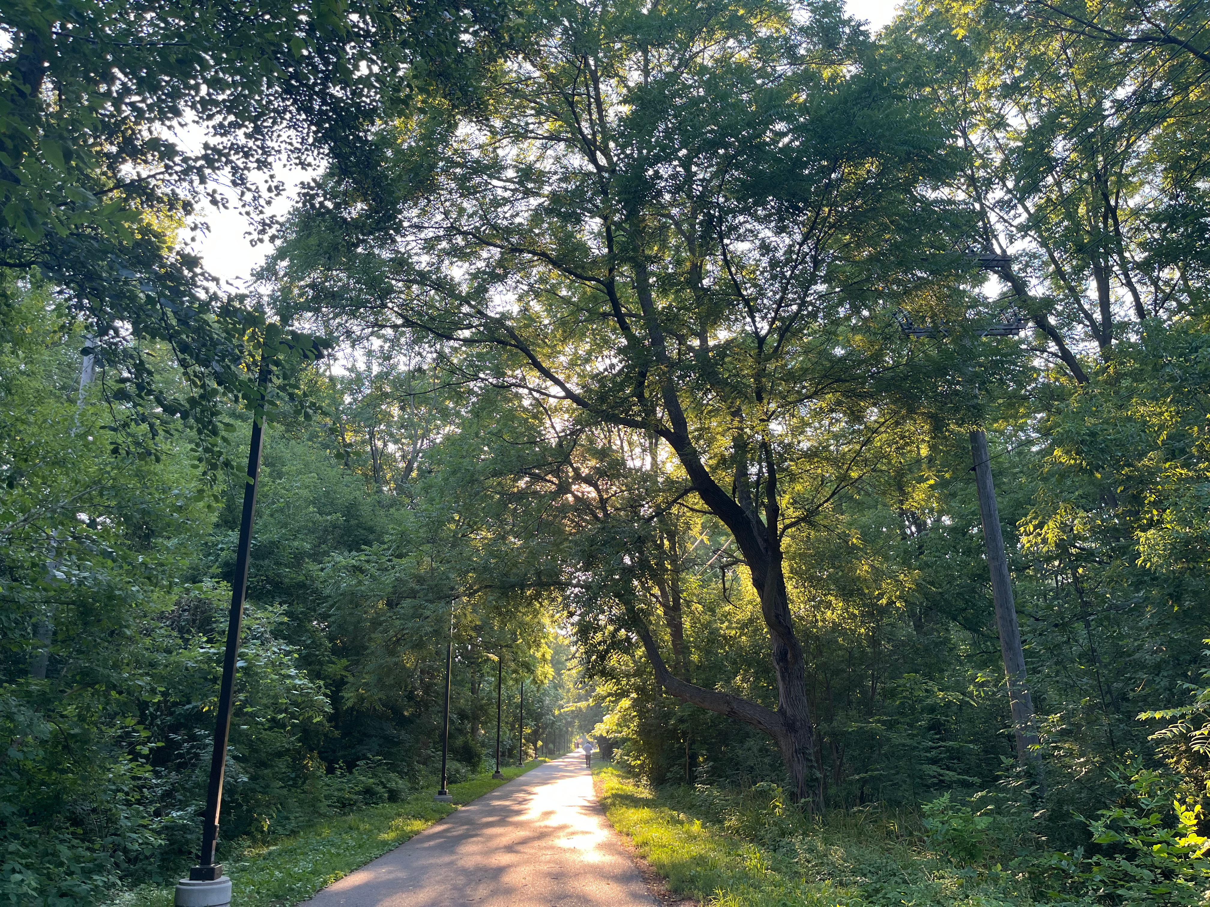 Favourite First Time Watches of July