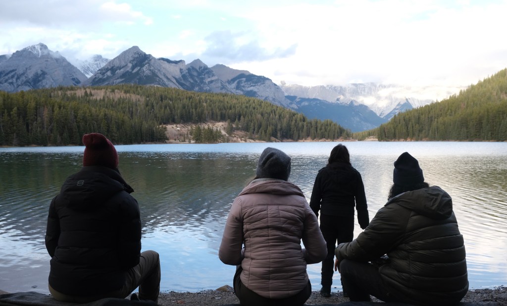 TIFF 50: Meadowlarks