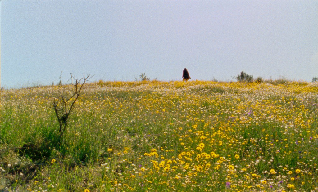 TIFF 50: The&nbsp;Season