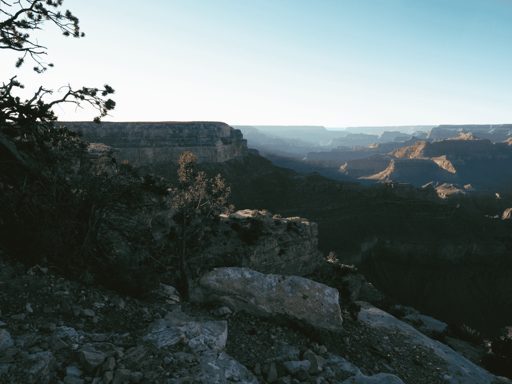 New Review Series: Wavelengths Diaries