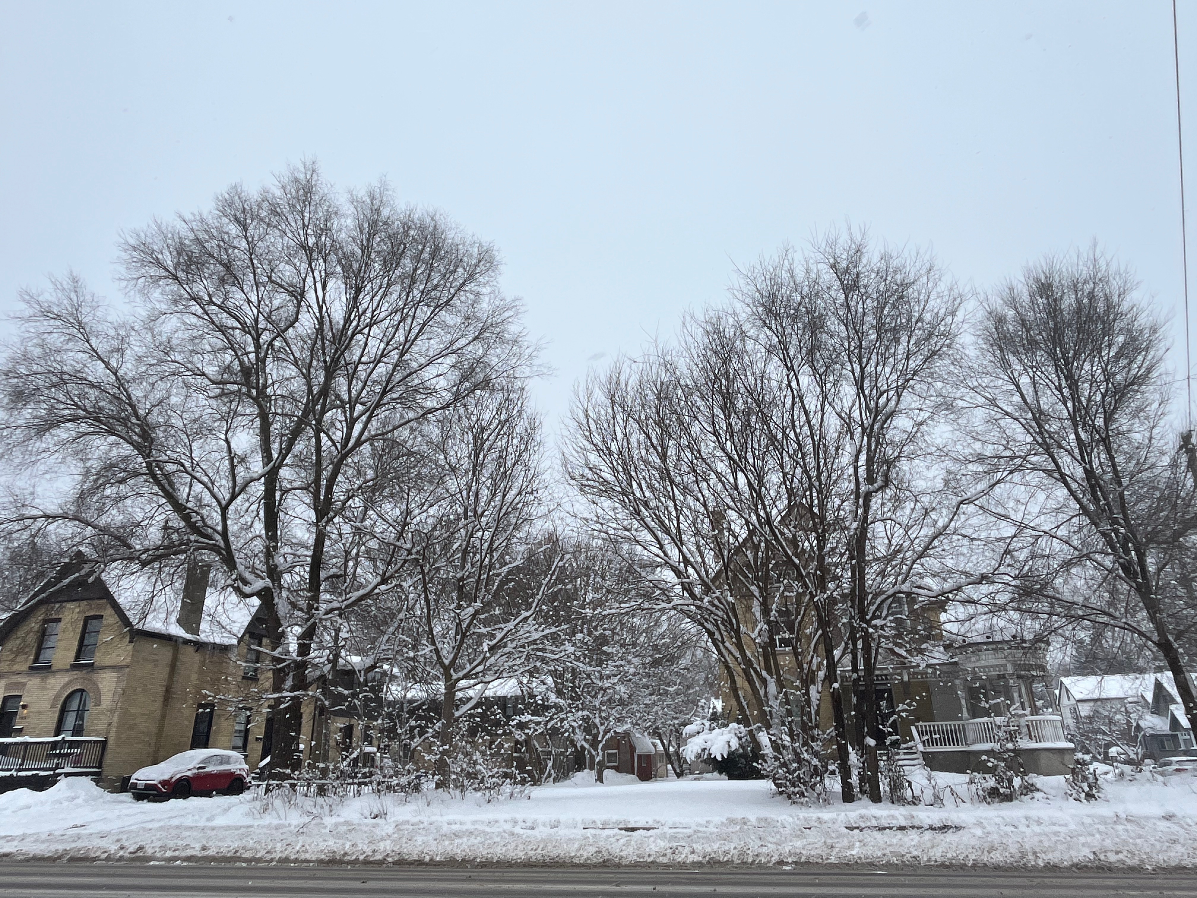 Favourite First Time Watches of December