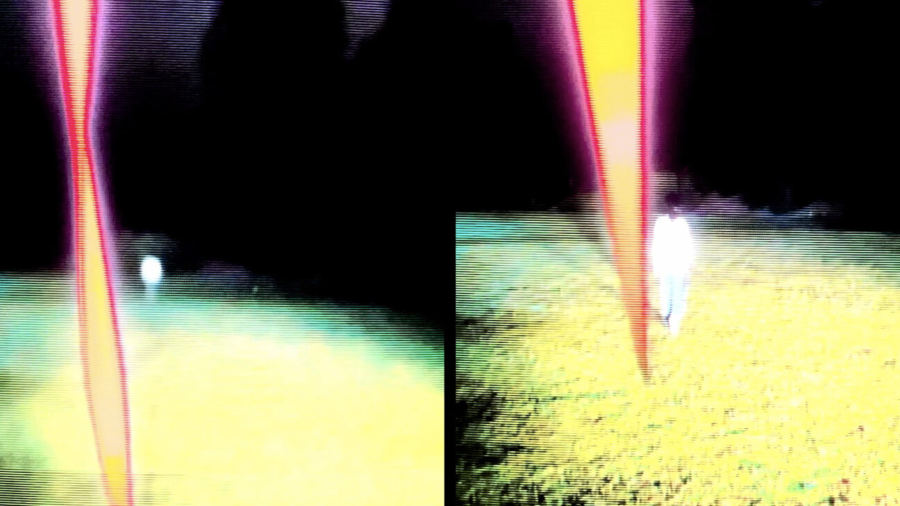 Debut, Or, Objects of the Field of Debris Currently Documented