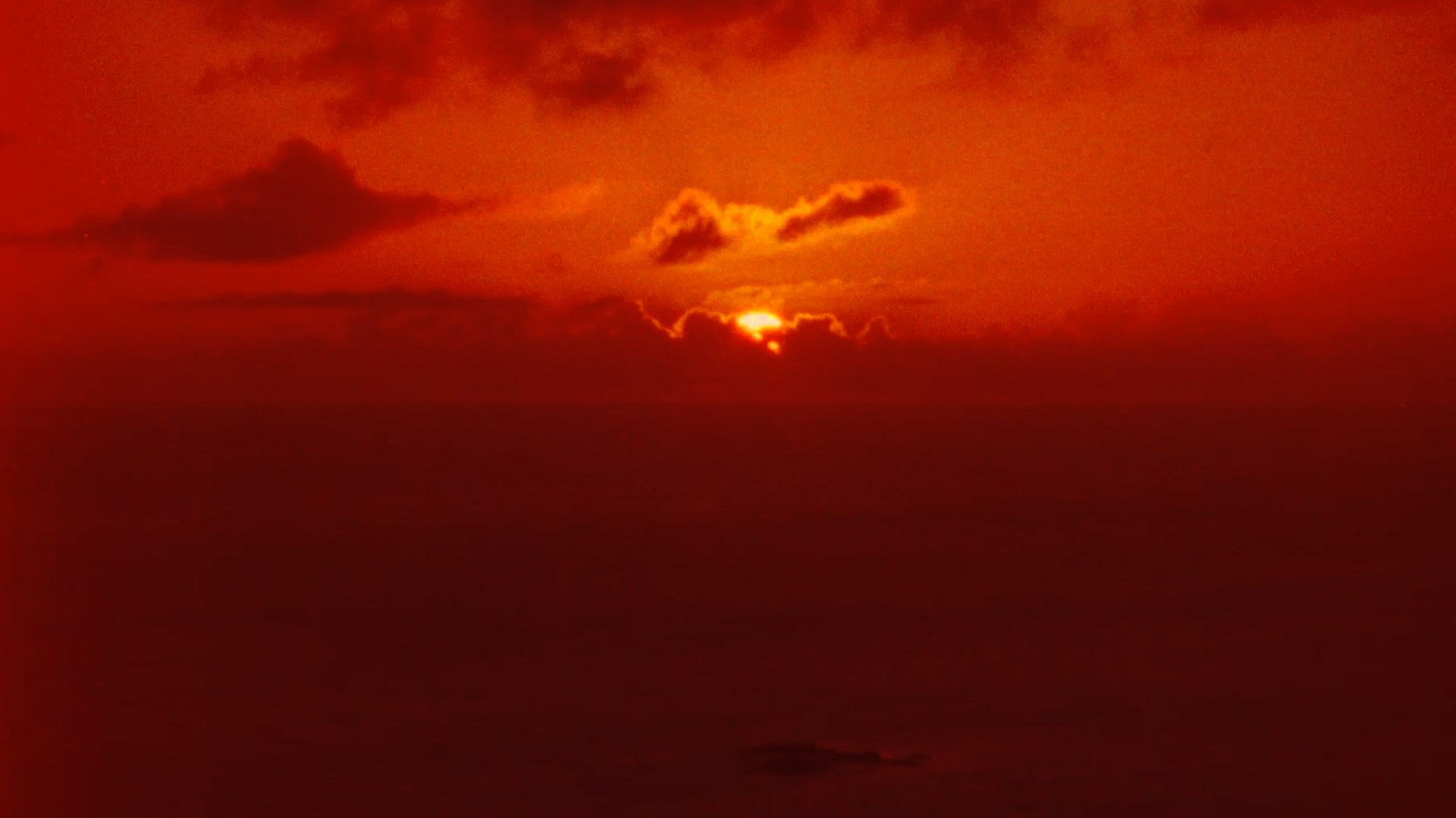 Locarno ’26 – Hanabi (Fire Flower)